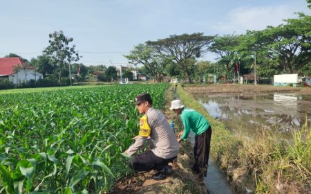 Bhabinkamtibmas Desa Glonggong Dorong Pemanfaatan Pekarangan dan Sawah untuk Mendukung Ketahanan Pangan